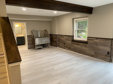 Basement - Patio side with dog wash and bathroom