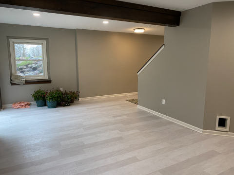 Basement - Patio side - facing away from dog wash station