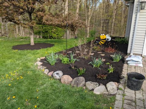 Eastern flower bed, by the crabapple