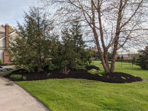 Northern flower bed, freshly mulched