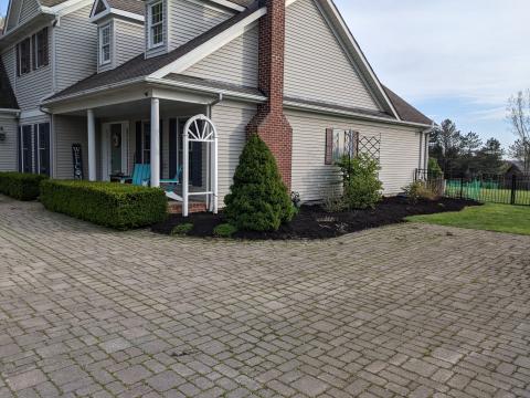 Northern flower bed by the house, freshly mulched