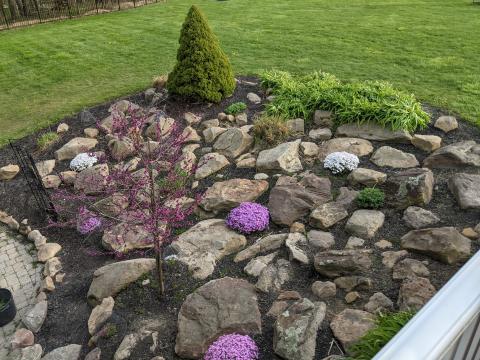 Rock garden by deck with multi-colored flox that are blooming