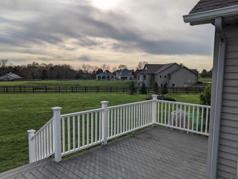 Backyard west view with new trees